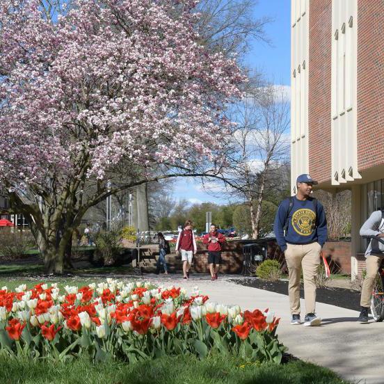 春天，学生们在摩尔图书馆附近散步